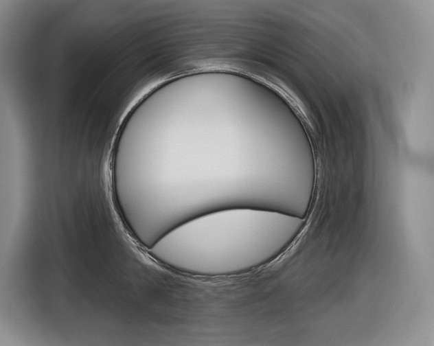 X0000116890814200912221003