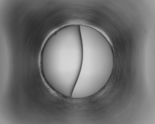 X0000116890815200912221003