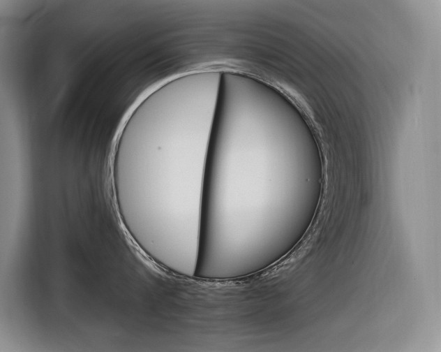X0000116890816200912221003