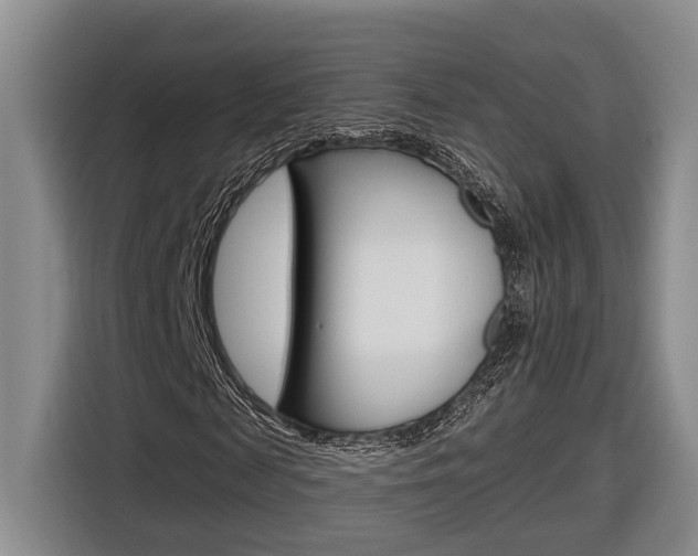 X0000116890817200912221002