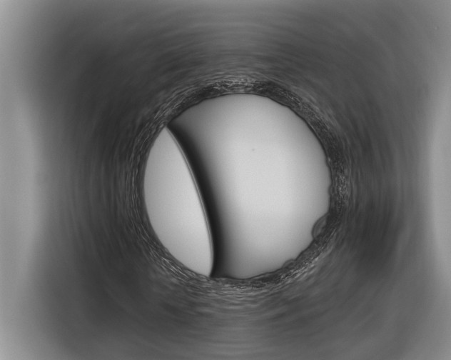 X0000116890818200912221002