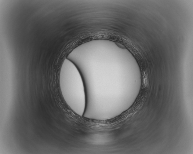 X0000116890819200912221002