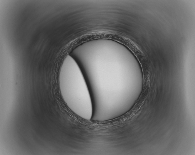 X0000116890821200912221002