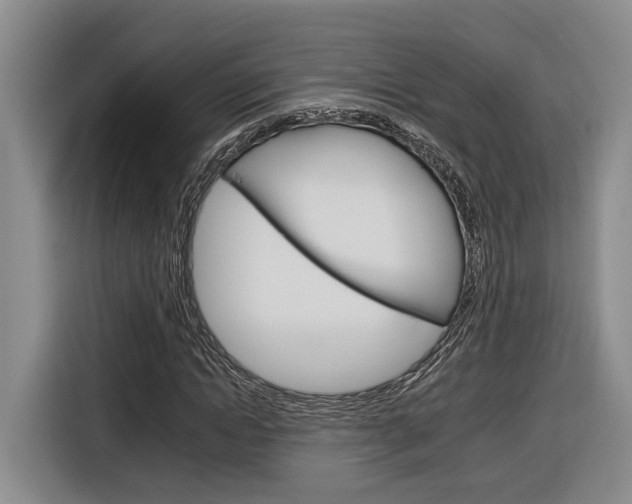 X0000116890822200912221002