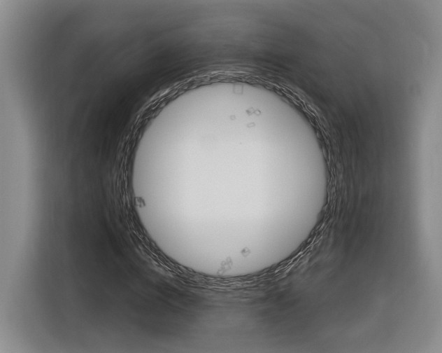 X0000116890824200912221002
