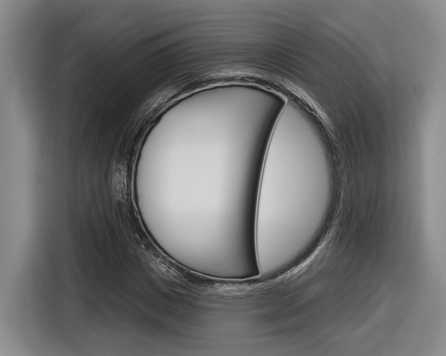 X0000116890825200912221002