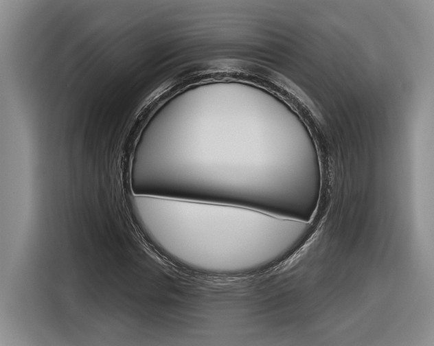 X0000116890826200912221002