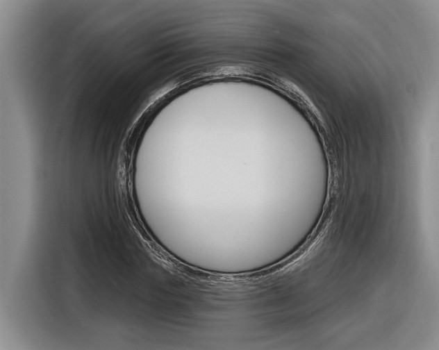 X0000116890827200912221002
