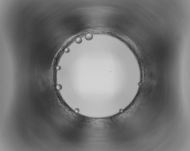 X0000116890828200912221002
