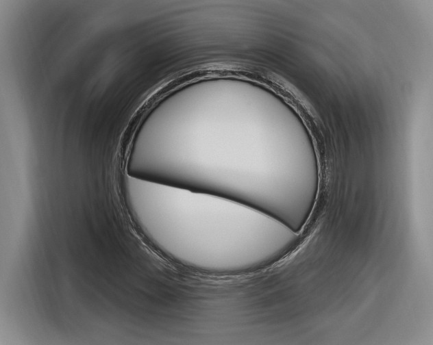 X0000116890829200912221002