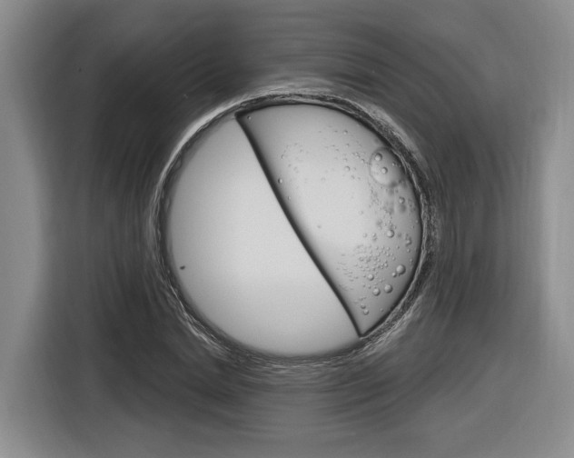 X0000116890830200912221002