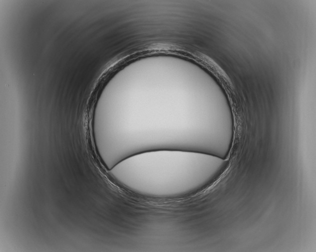 X0000116890831200912221002