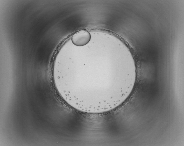 X0000116890832200912221002