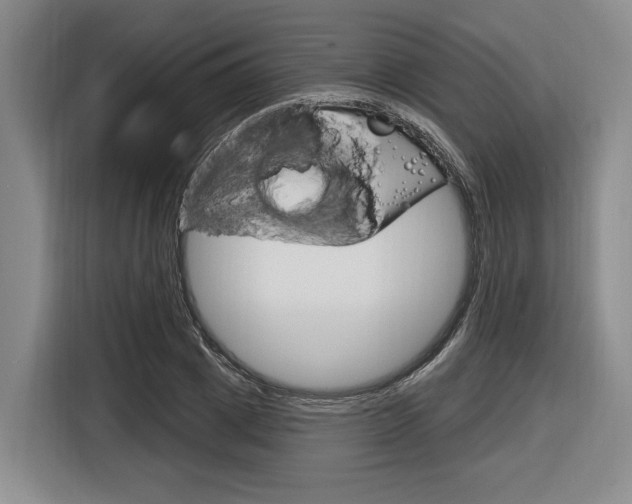 X0000116890833200912221002