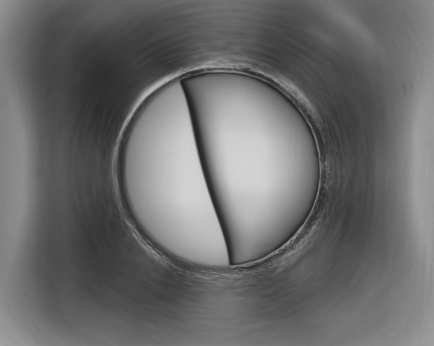 X0000116890838200912221002