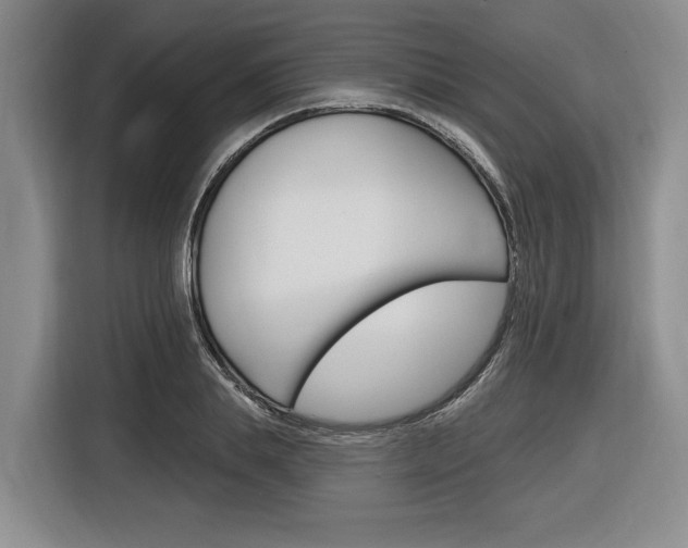 X0000116890839200912221002