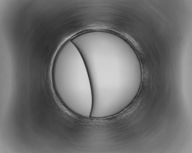 X0000116890840200912221002