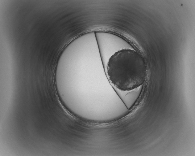 X0000116890841200912221002