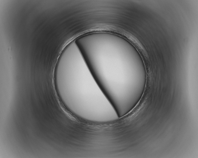 X0000116890842200912221003