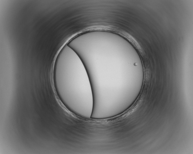 X0000116890844200912221003