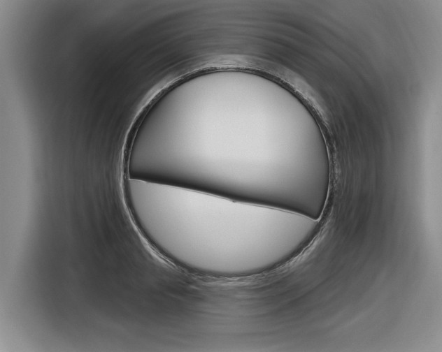 X0000116890845200912221003