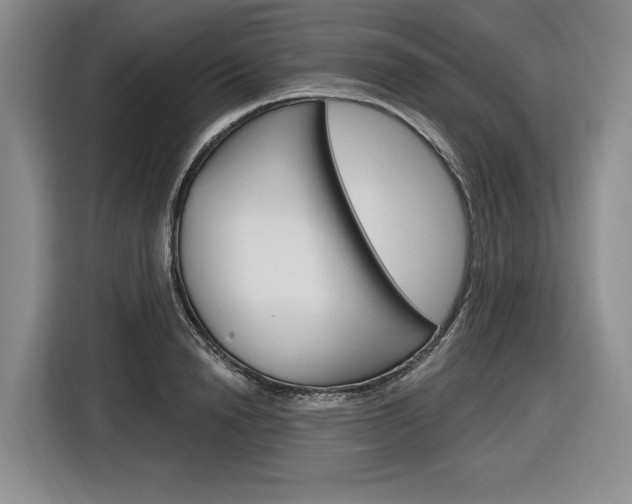 X0000116890846200912221003