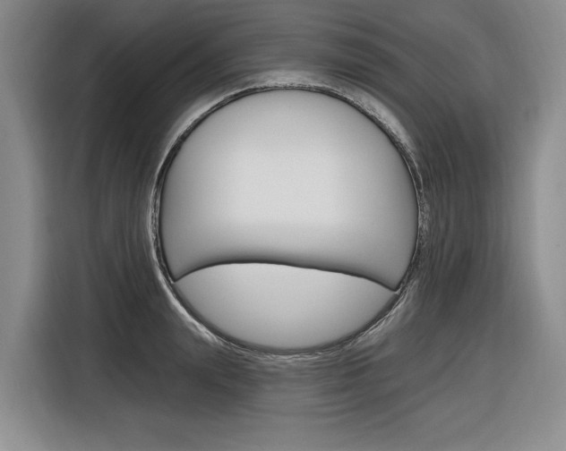 X0000116890847200912221003