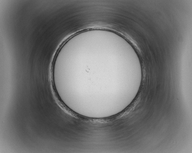 X0000116890848200912221003