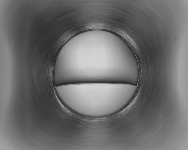 X0000116890849200912221003