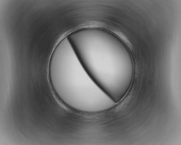 X0000116890850200912221003