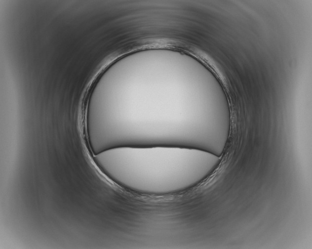X0000116890851200912221003