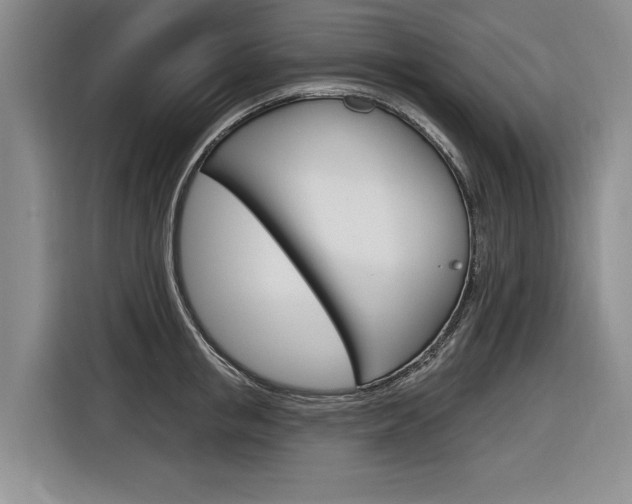 X0000116890853200912221003