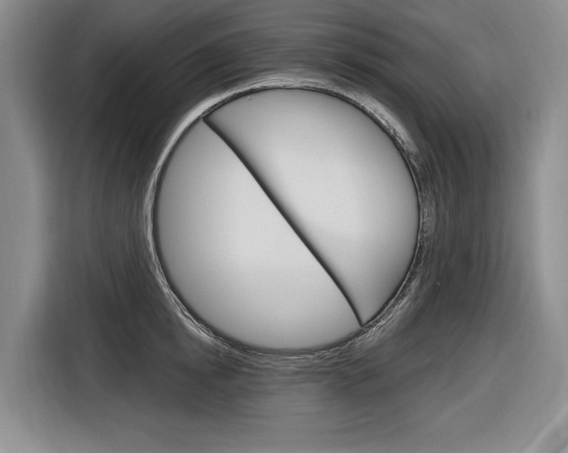 X0000116890854200912221003