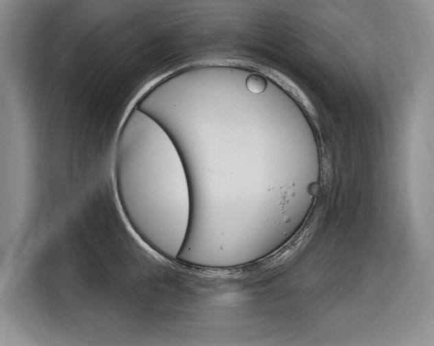 X0000116890855200912221003