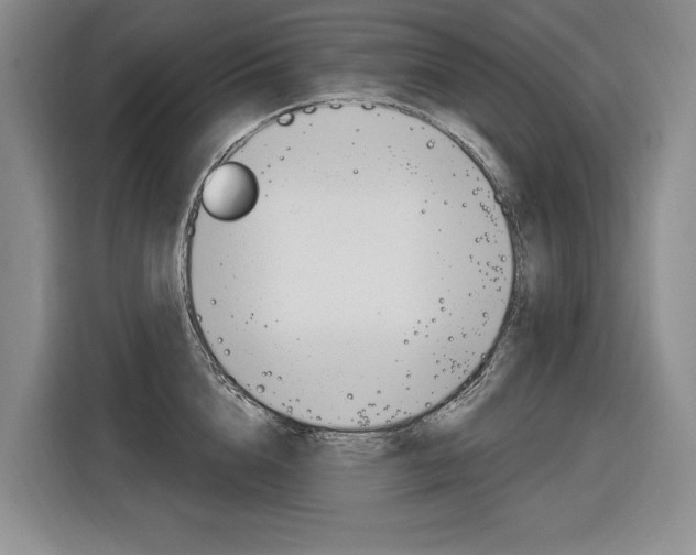 X0000116890856200912221003