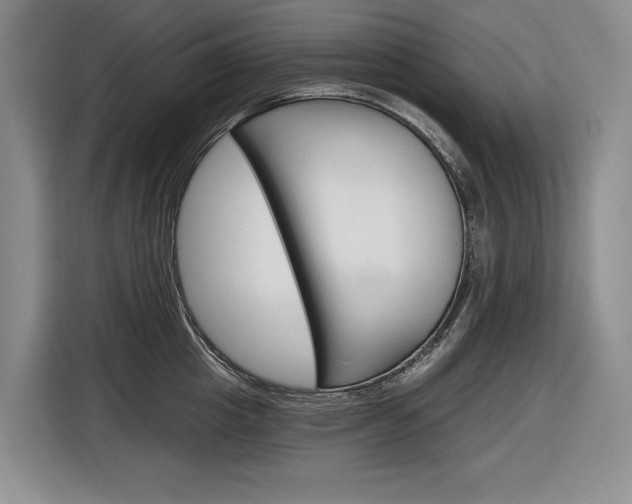X0000116890857200912221003
