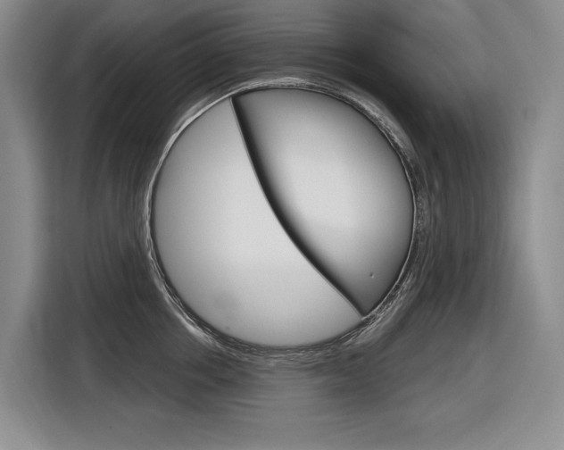 X0000116890858200912221003