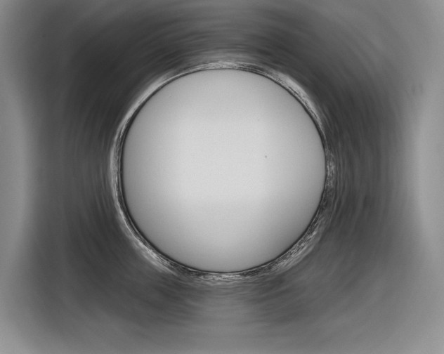 X0000116890859200912221003
