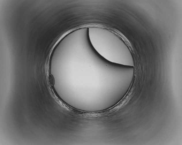 X0000116890860200912221003