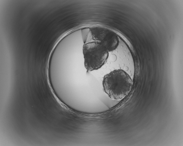X0000116890861200912221003