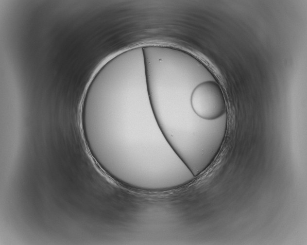 X0000116890862200912221003