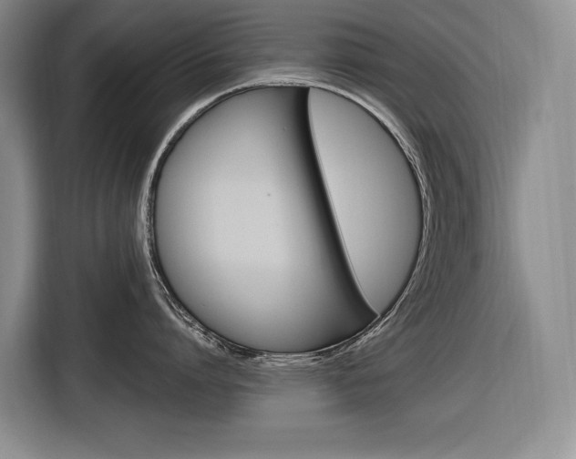 X0000116890864200912221003