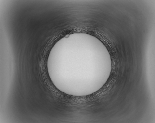 X0000116890865200912221002
