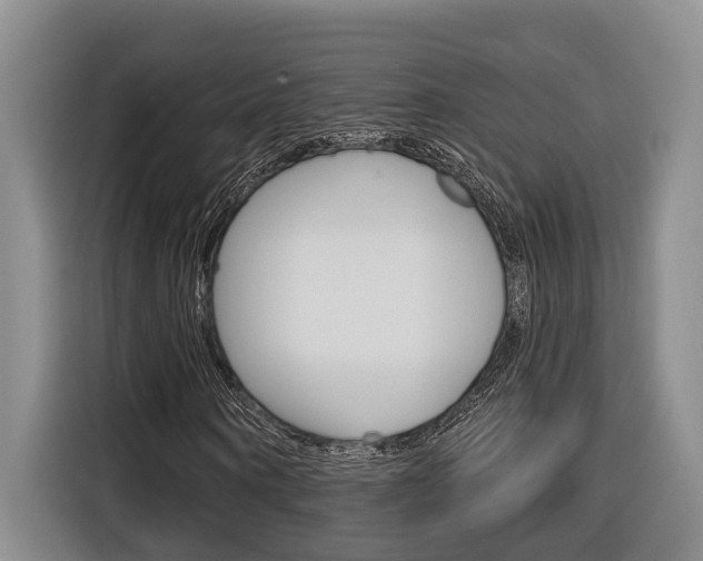 X0000116890866200912221002