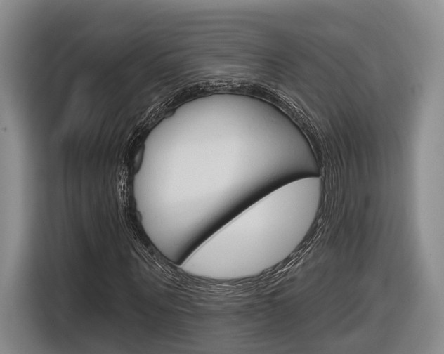 X0000116890867200912221002