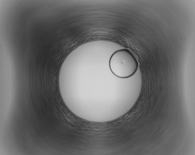 X0000116890868200912221002