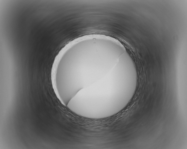 X0000116890869200912221002