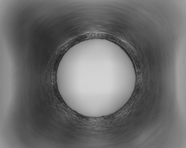 X0000116890870200912221002