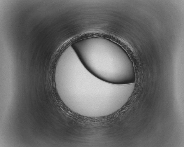 X0000116890872200912221002