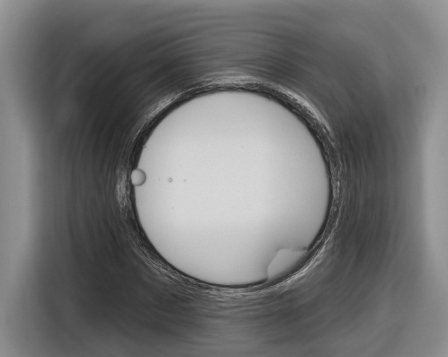 X0000116890873200912221002
